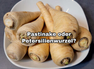 Pastinake oder Petersilienwurzel